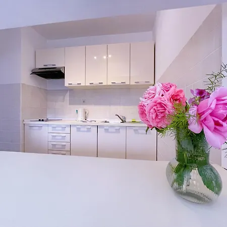 Marijeta With Free Parking Apartment Zaton (Dubrovnik-Neretva)